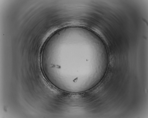 X0000101231043200807111115