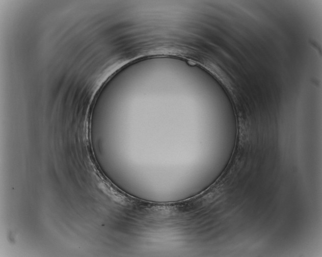 X0000101231044200807111115