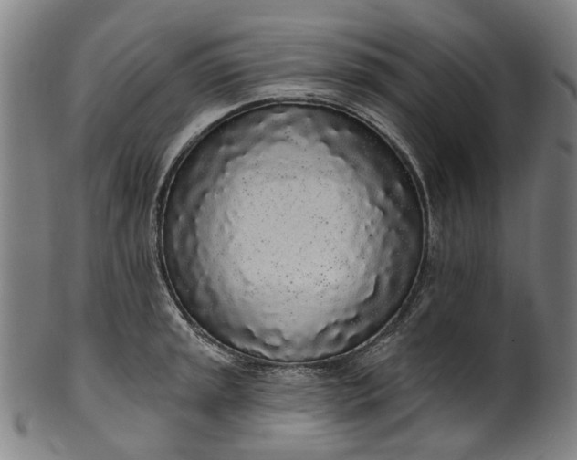 X0000101231045200807111115