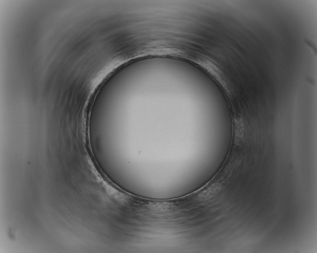 X0000101231046200807111115