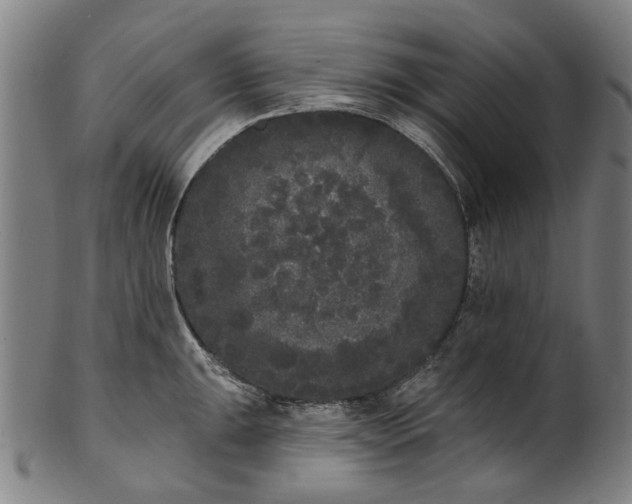 X0000101231047200807111115