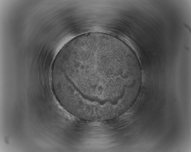 X0000101231048200807111115