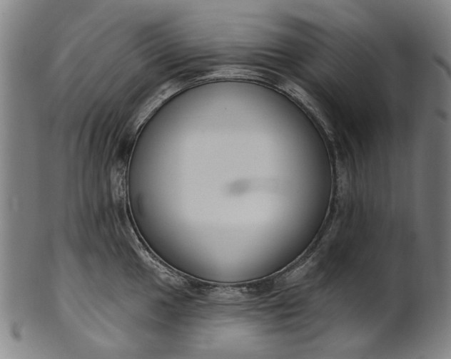 X0000101231049200807111115