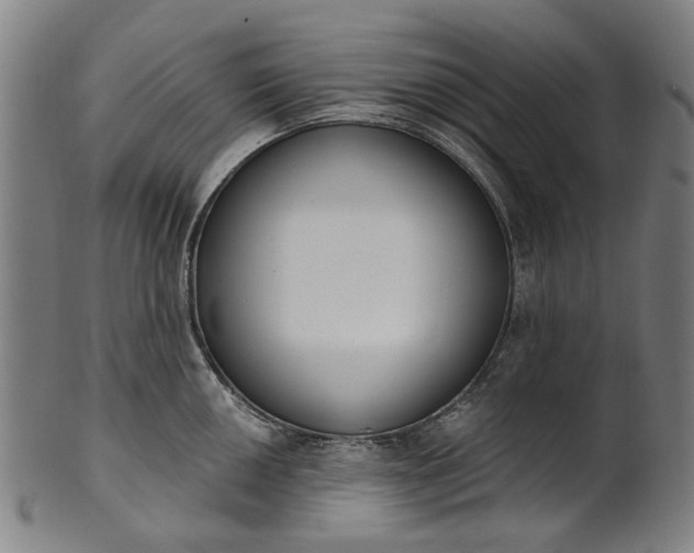 X0000101231050200807111115