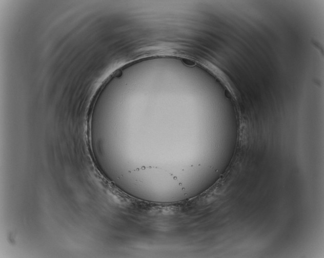 X0000101231051200807111115