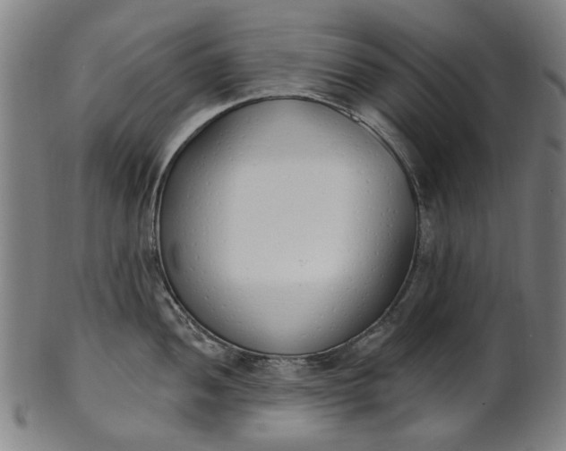 X0000101231052200807111115