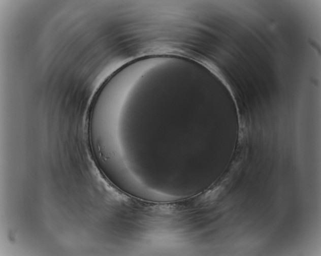 X0000101231053200807111115