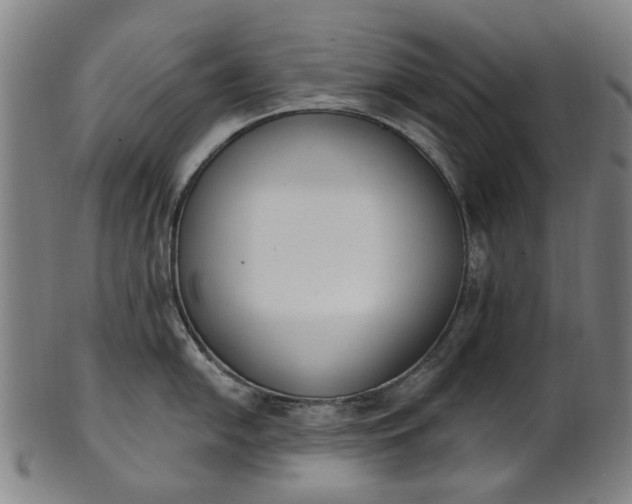 X0000101231054200807111115