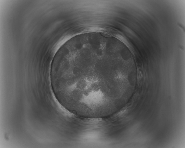 X0000101231055200807111115