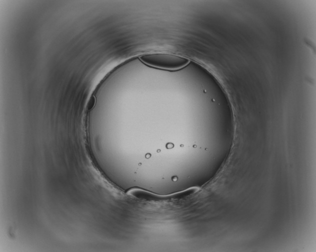 X0000101231056200807111115