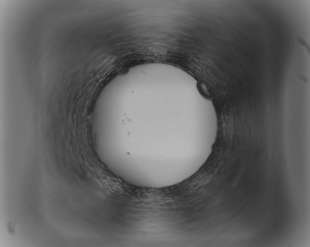 X0000101231057200807111115