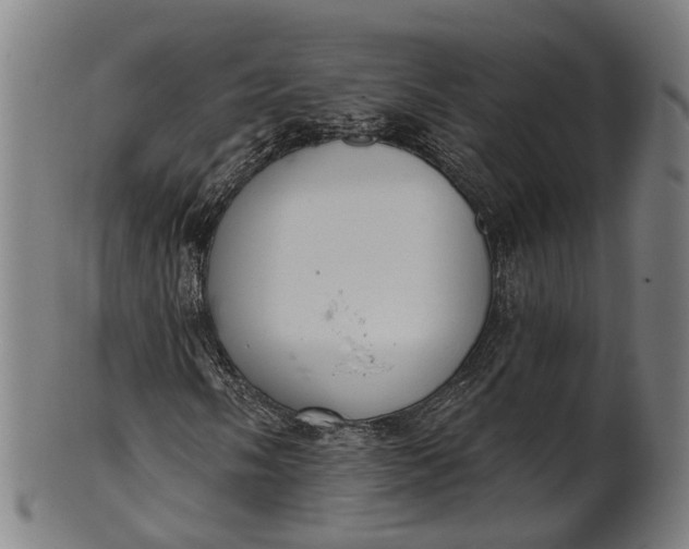 X0000101231058200807111115