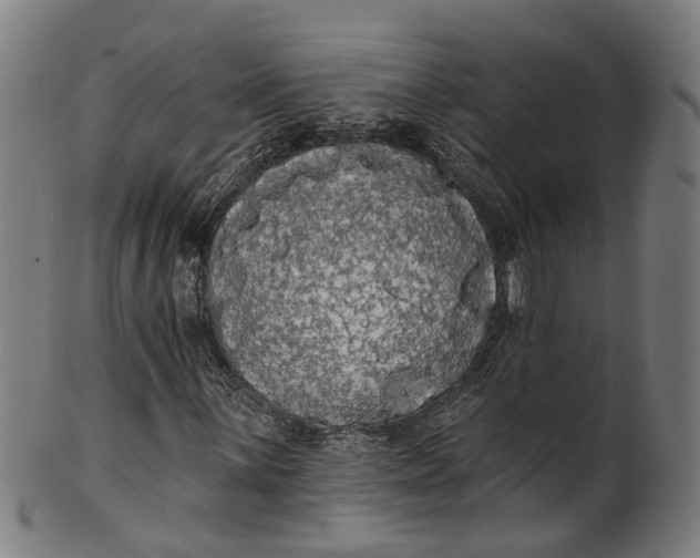 X0000101231059200807111115