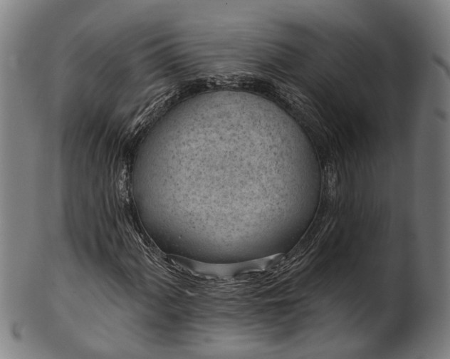 X0000101231060200807111115