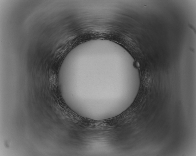 X0000101231061200807111115