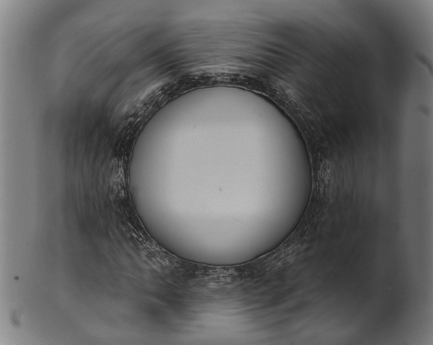 X0000101231062200807111115