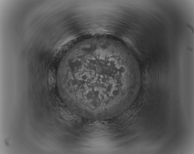 X0000101231063200807111115