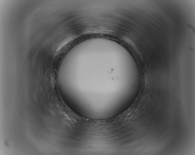 X0000101231064200807111115