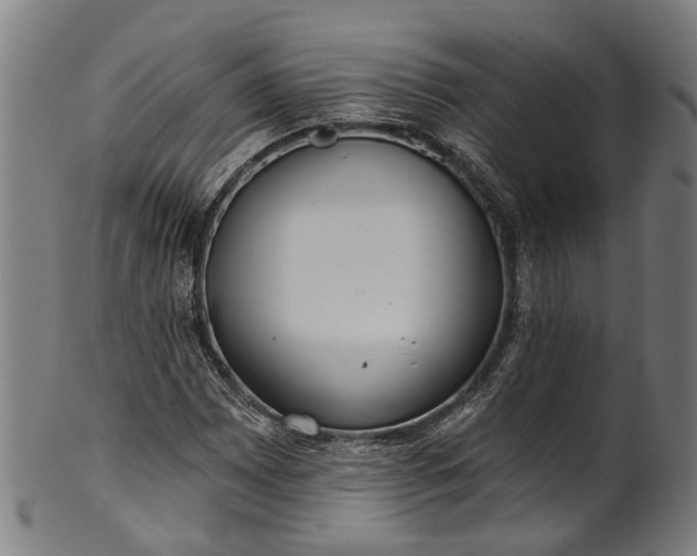 X0000101231065200807111115