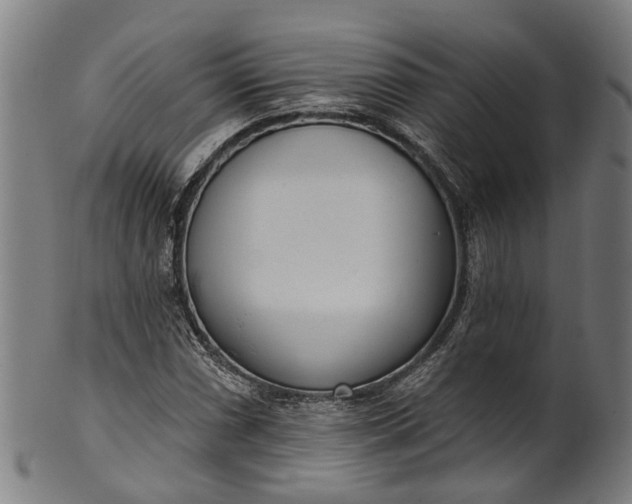 X0000101231066200807111115