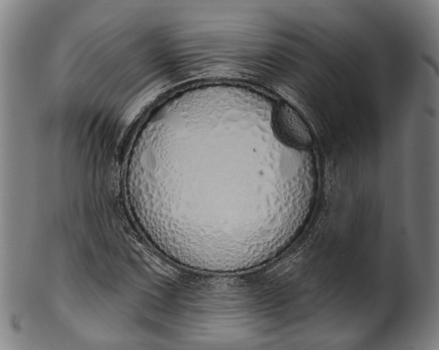 X0000101231067200807111115