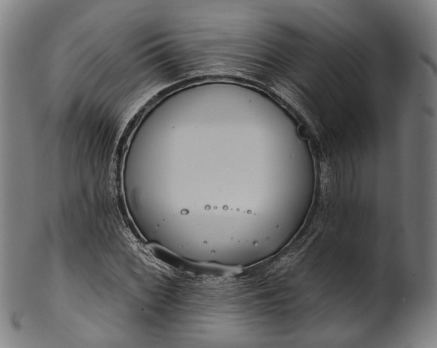 X0000101231068200807111115