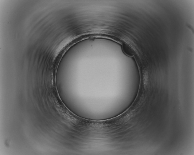 X0000101231069200807111115