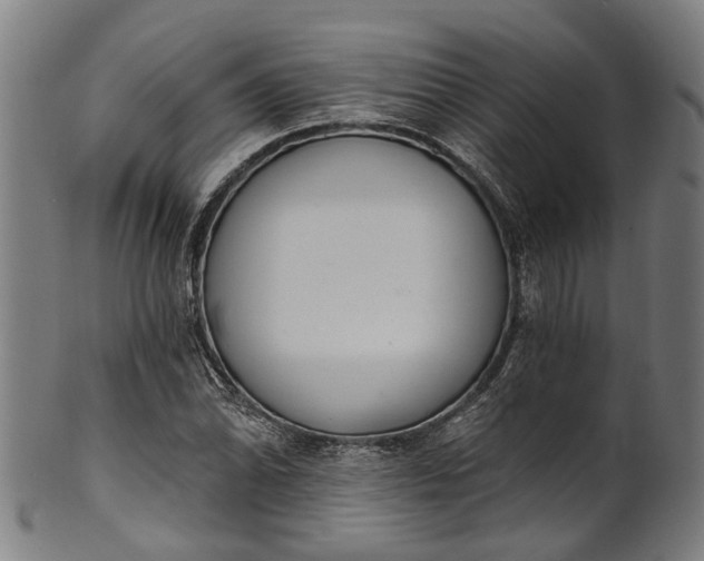 X0000101231070200807111115