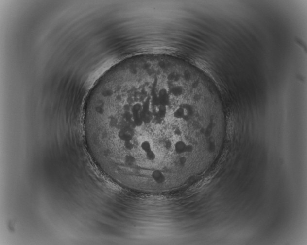 X0000101231071200807111115