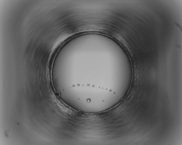 X0000101231072200807111115