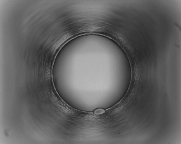 X0000101231073200807111114