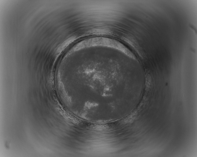 X0000101231074200807111114