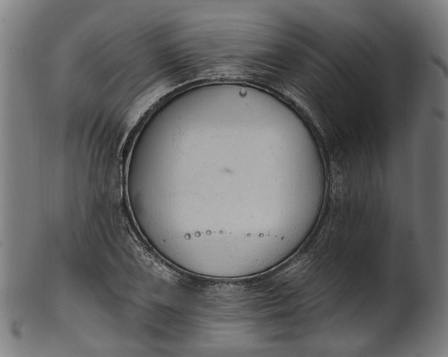 X0000101231075200807111114