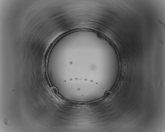 X0000101231076200807111114