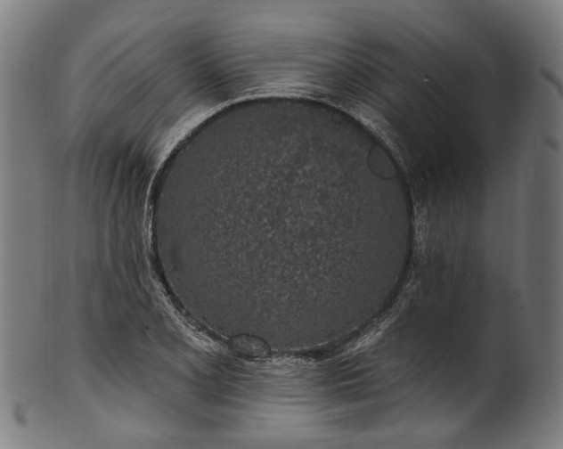 X0000101231077200807111114