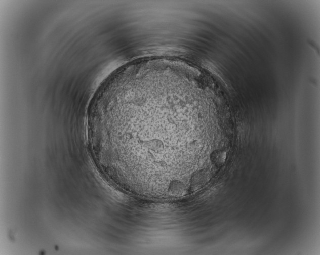 X0000101231079200807111114