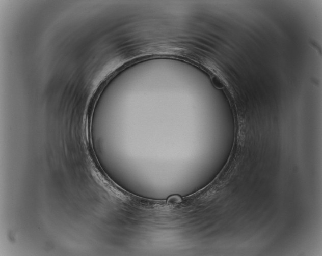 X0000101231080200807111114