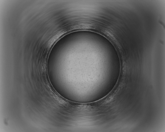 X0000101231081200807111114