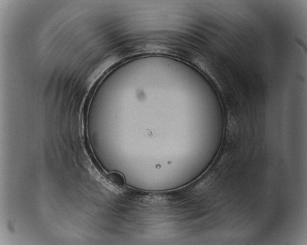 X0000101231082200807111114