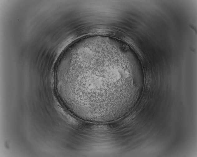 X0000101231083200807111114