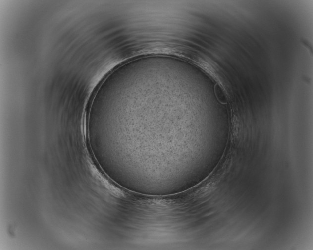 X0000101231084200807111114