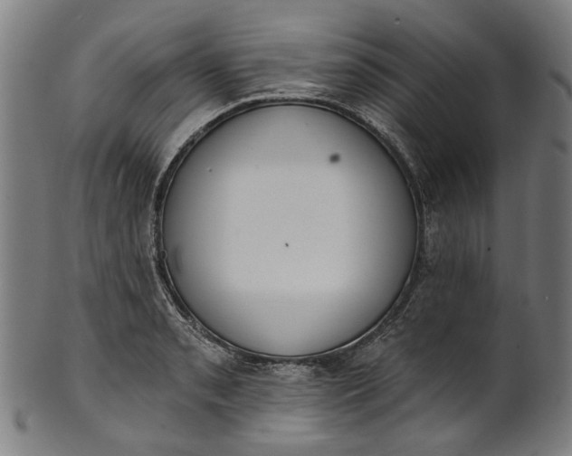 X0000101231085200807111114