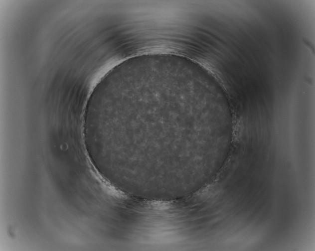 X0000101231086200807111114