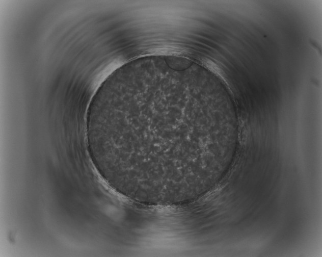 X0000101231087200807111114