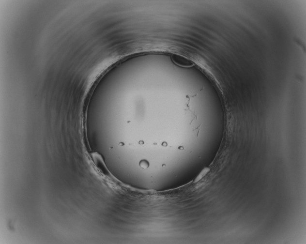 X0000101231088200807111114