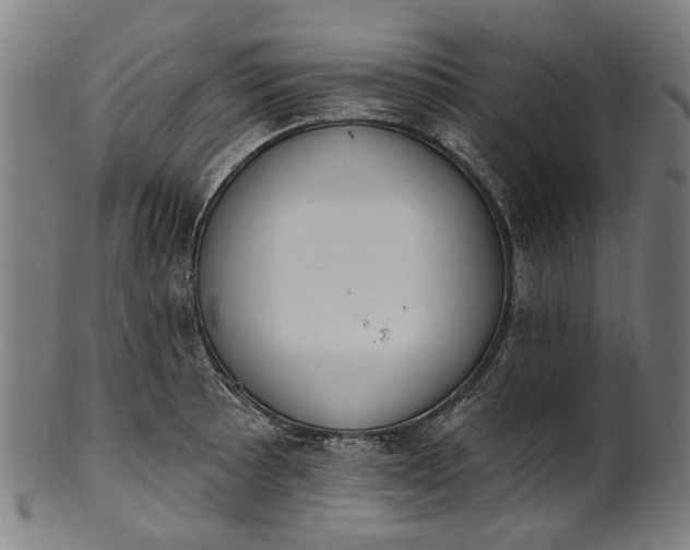 X0000101231089200807111114