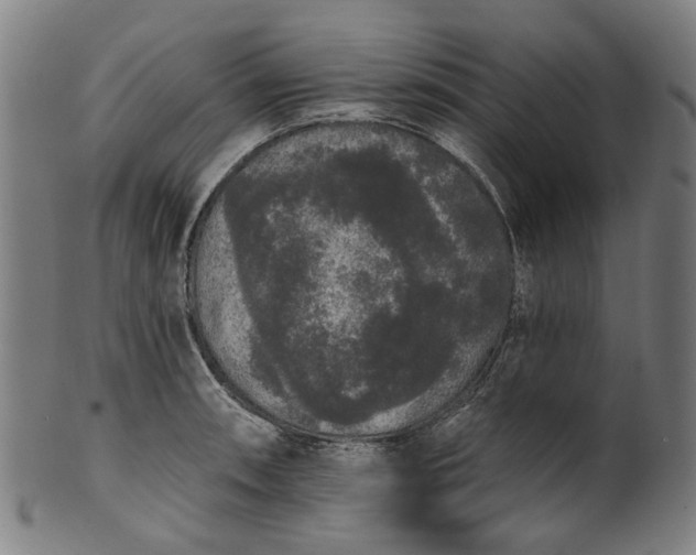 X0000101231090200807111114