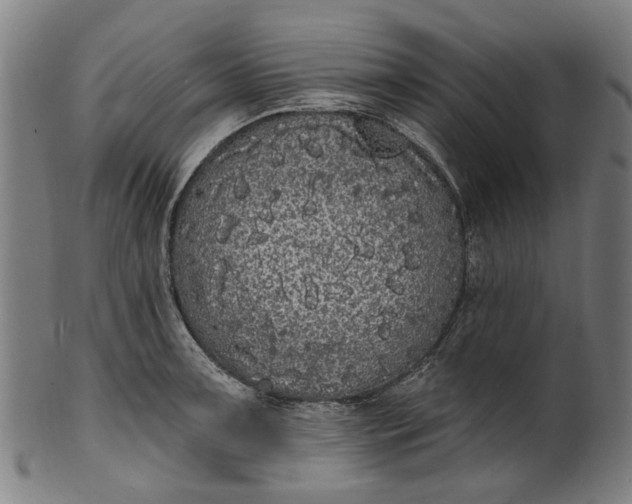 X0000101231091200807111114