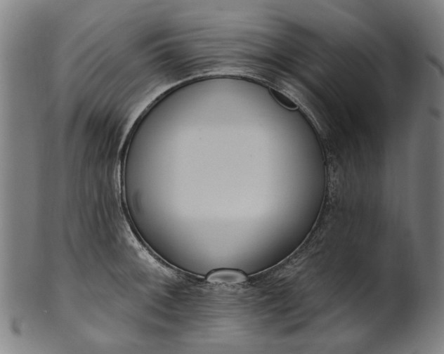 X0000101231092200807111114