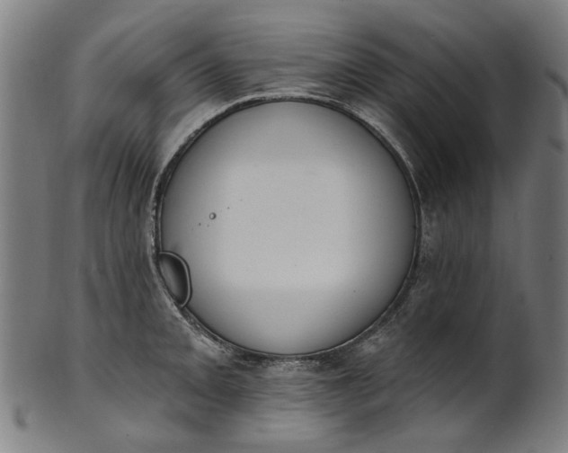 X0000101231093200807111114